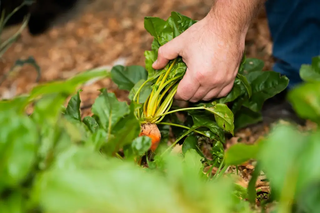 arne+andreassen+fjord+catering+carlos+rollan+fredrikstad+vikane+norway+october+2023 35